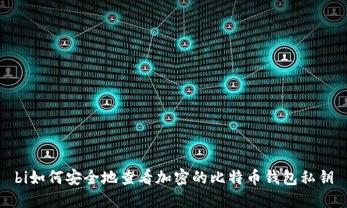 bi如何安全地查看加密的比特币钱包私钥