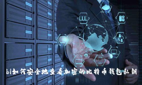 bi如何安全地查看加密的比特币钱包私钥