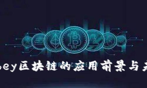 探索Abbey区块链的应用前景与未来发展