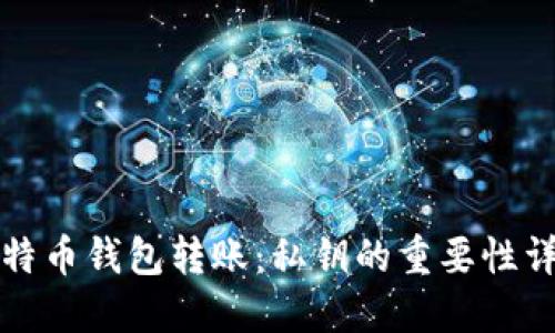 比特币钱包转账：私钥的重要性详解