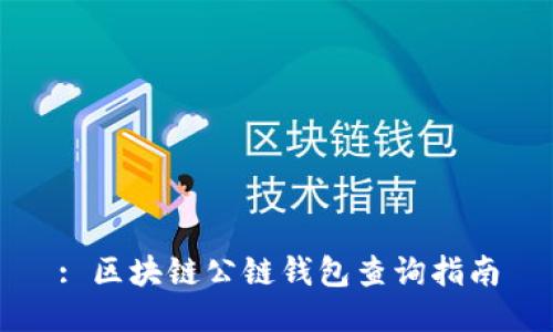: 区块链公链钱包查询指南