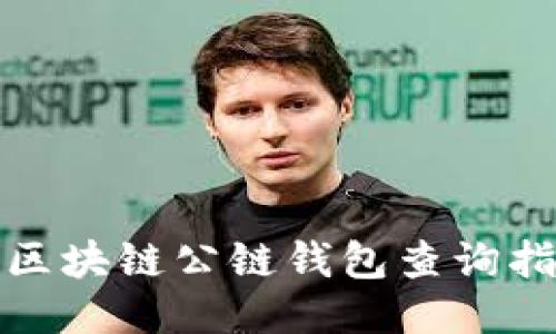 : 区块链公链钱包查询指南