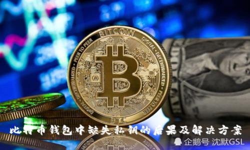 比特币钱包中缺失私钥的后果及解决方案