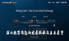 国内数字钱包的发展现状与未来展望