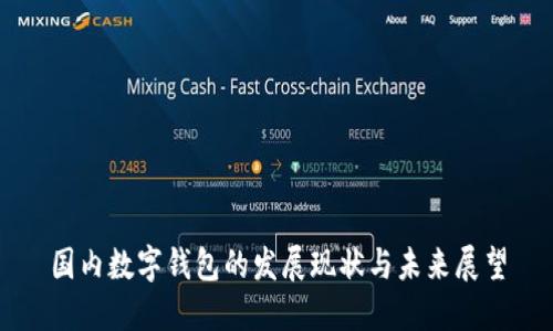 国内数字钱包的发展现状与未来展望