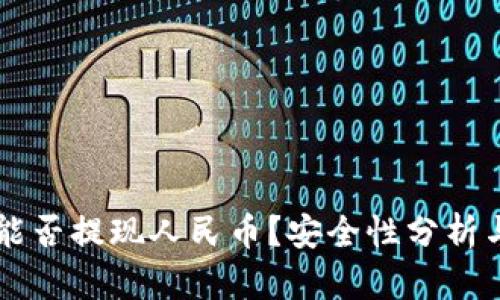 tpWallet能否提现人民币？安全性分析与用户指南