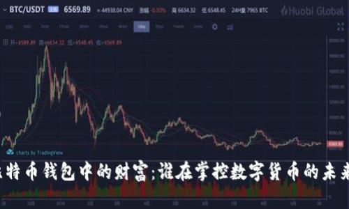 比特币钱包中的财富：谁在掌控数字货币的未来？