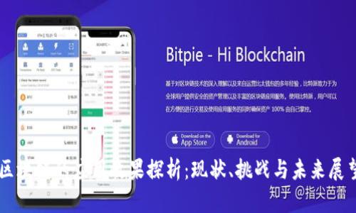 区块链的应用效果探析：现状、挑战与未来展望