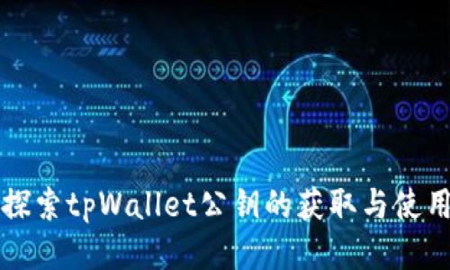 探索tpWallet公钥的获取与使用
