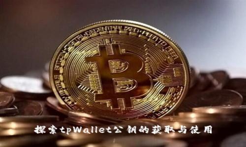 探索tpWallet公钥的获取与使用
