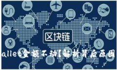 为什么tpWallet金额不动？解