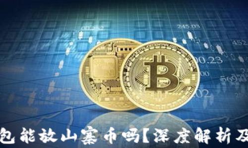 
比特币钱包能放山寨币吗？深度解析及其安全性