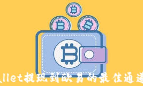 
tpWallet提现到欧易的最佳通道解析