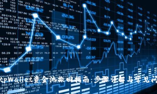 : tpWallet资金池撤回指南：步骤详解与常见问题