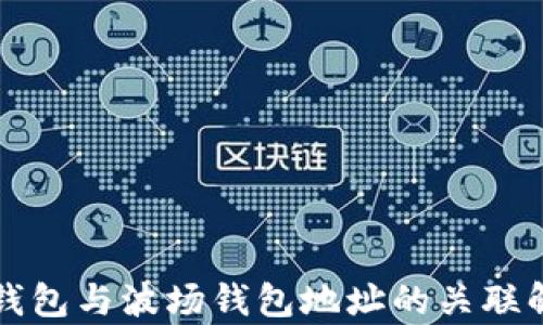 
TP钱包与波场钱包地址的关联解析